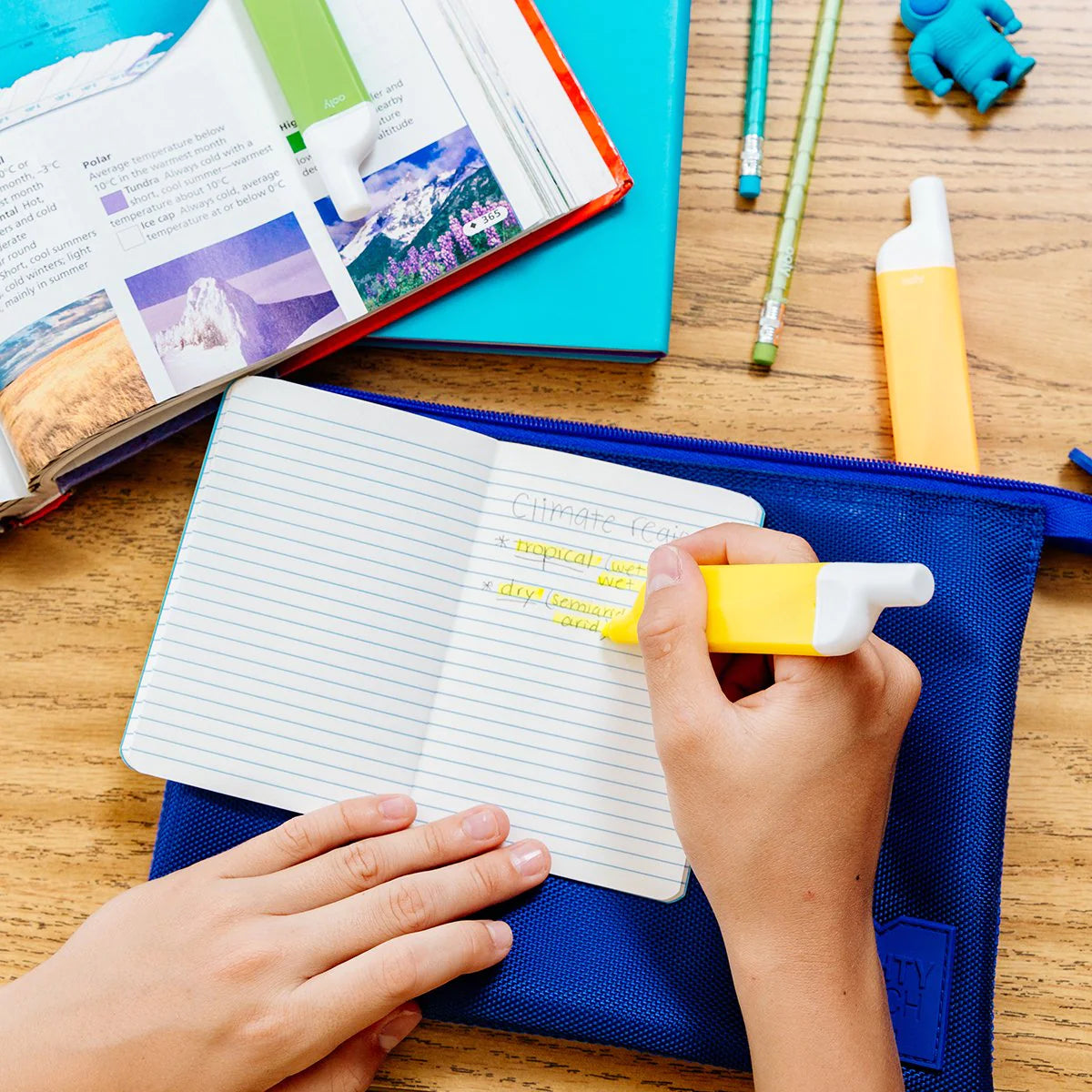 DO-OVERS Erasable Highlighters- Set of 6 by Ooly
