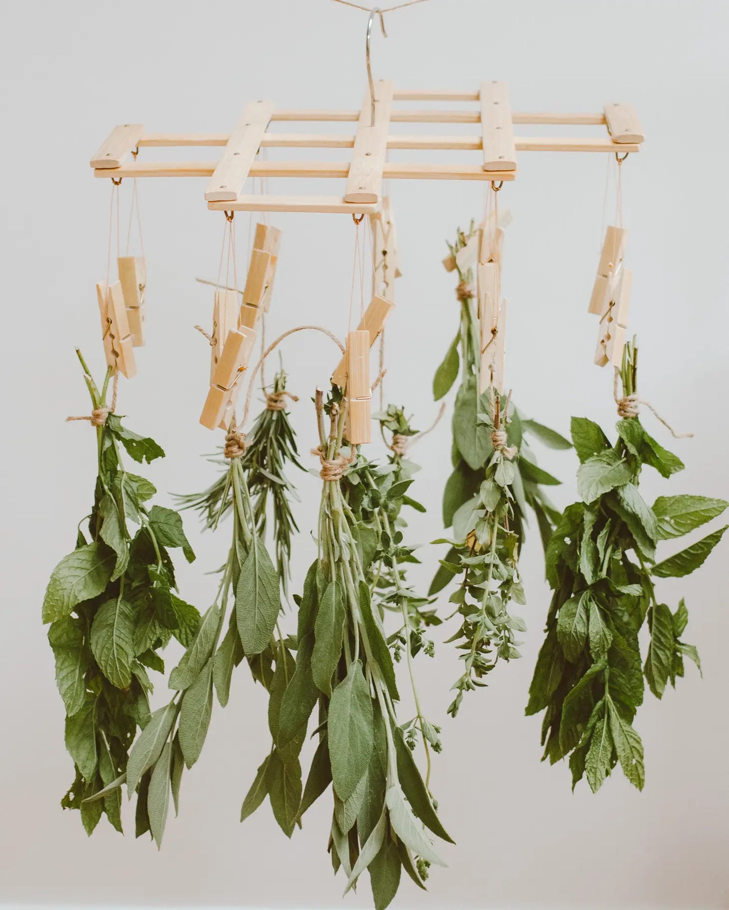 Bamboo Laundry Peg Airer by Goldrick
