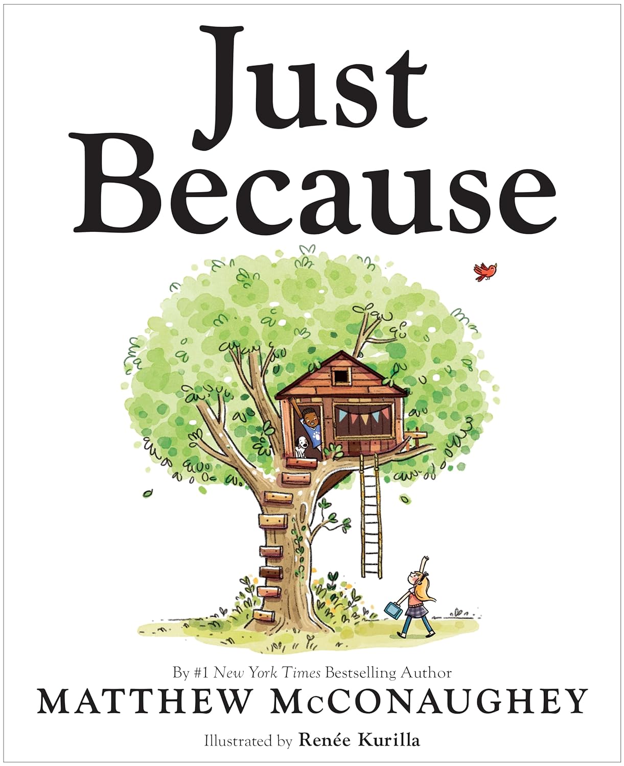 Just Because by Matthew McConaughy