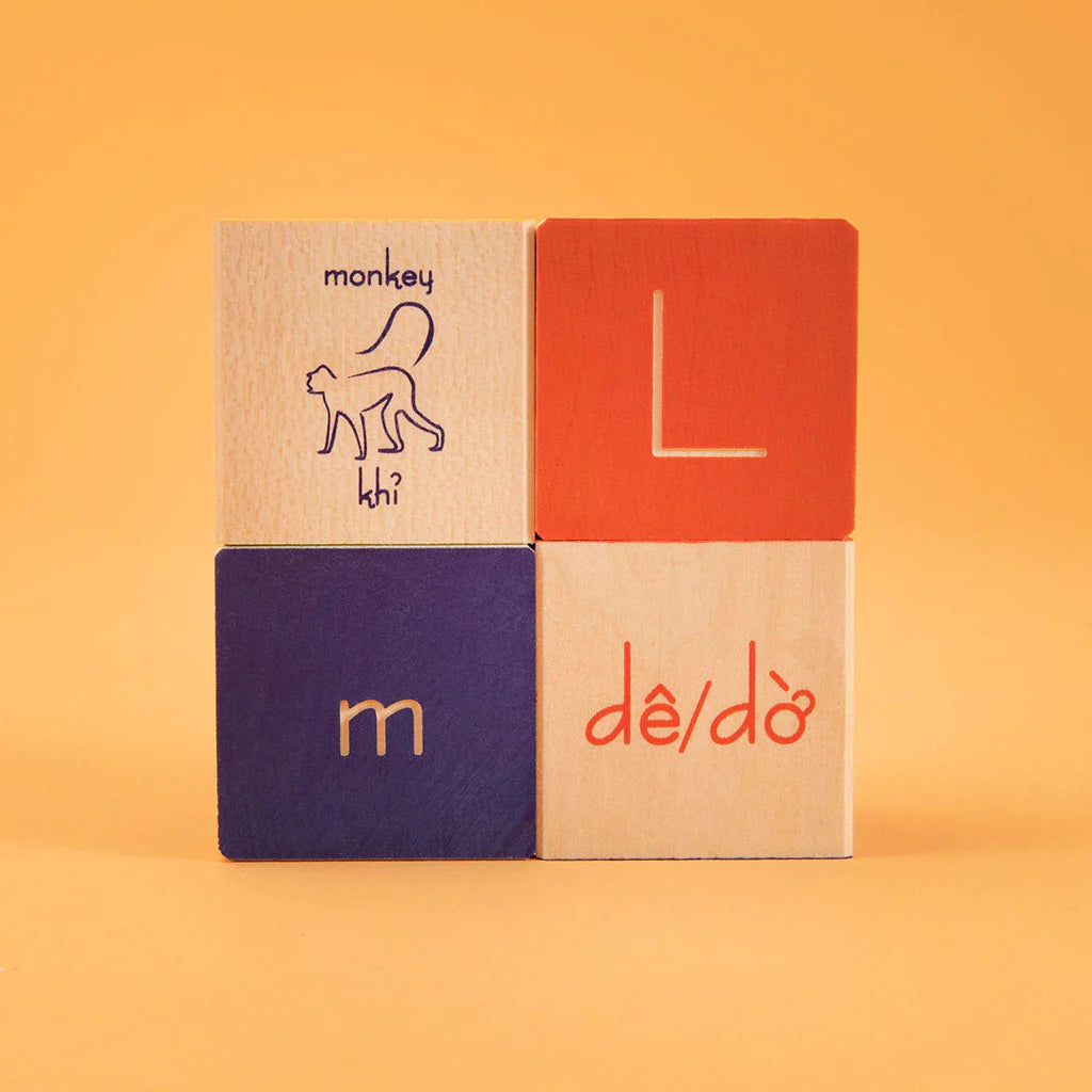 Vietnamese Blocks by Uncle Goose