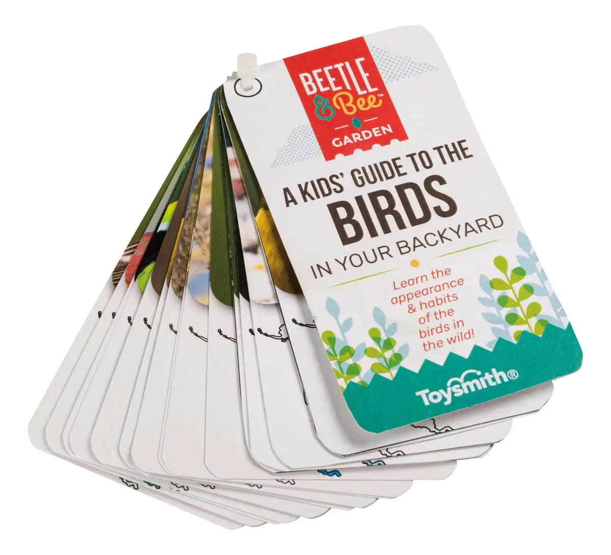Beetle & Bee Little Birder Set -Bird Watching for Kids