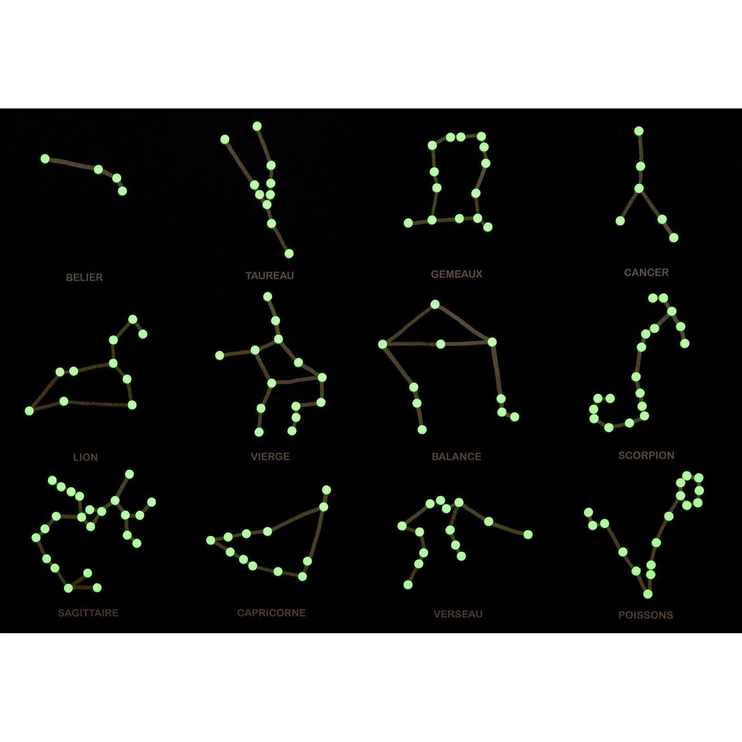 Koa Koa Glow in the Dark Constellations Poster