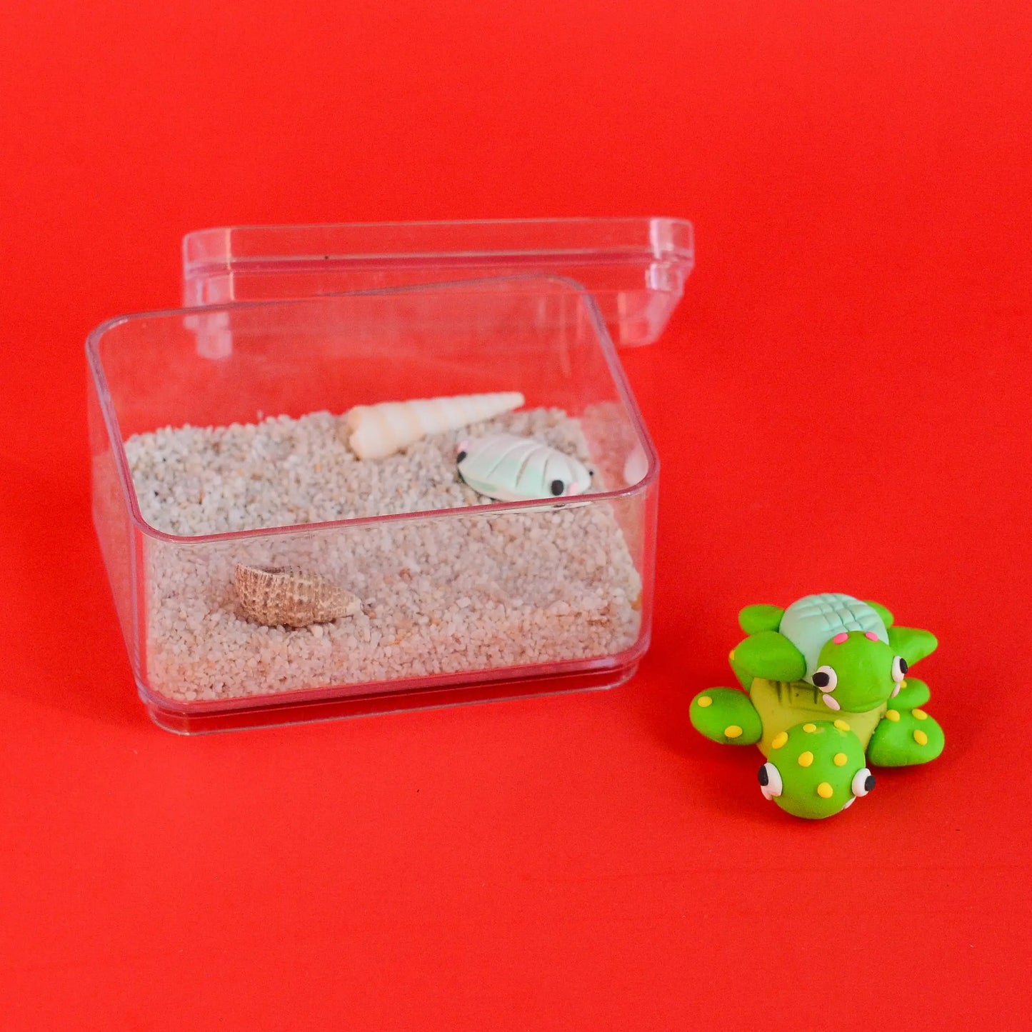 Turtle-Tini Terrarium by Tangerine