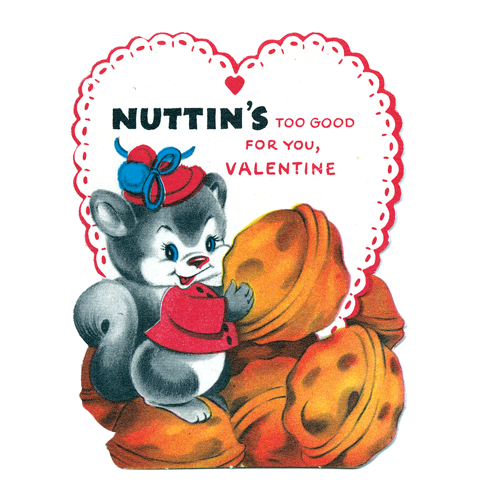 Funny Punny Valentine Packet