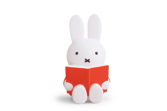 Atelier Pierre Miffy Coin Bank