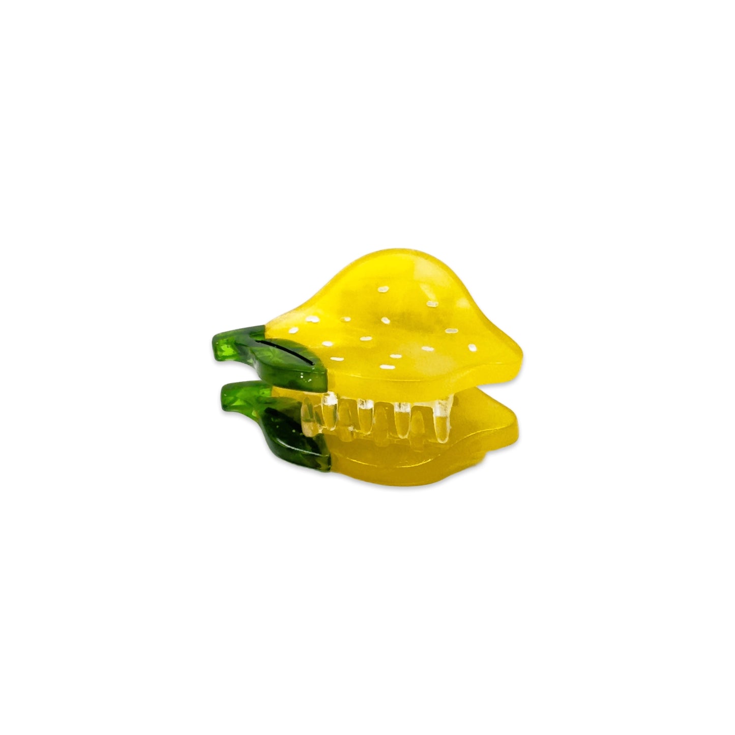 Micro Fruit & Flowers Hair Claw Clip Set