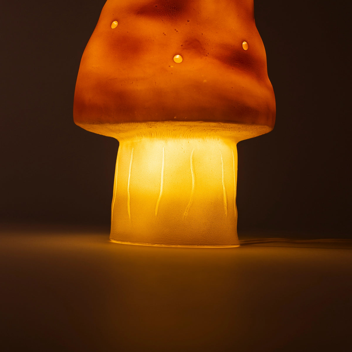 Small Mushroom Terra Night Light by Egmont