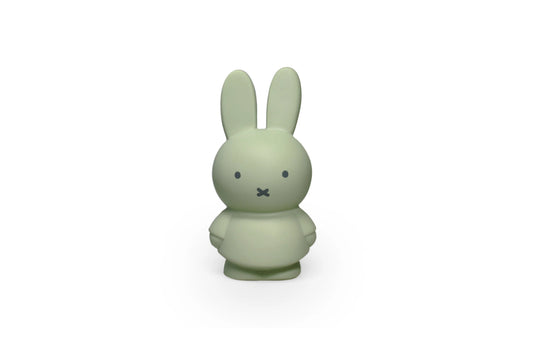 Small Atelier Pierre Miffy Coin Bank in Eucalyptus