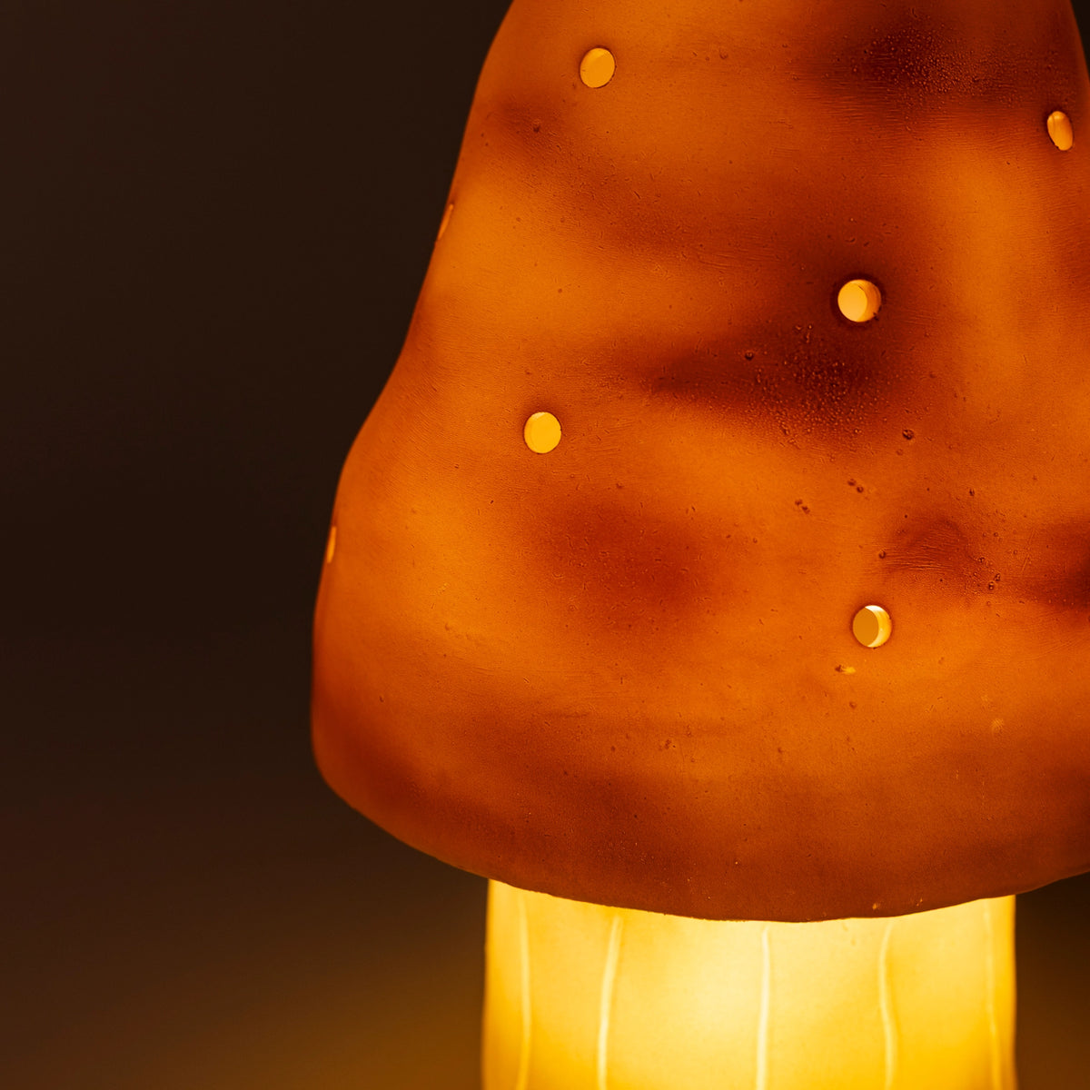 Small Mushroom Terra Night Light by Egmont