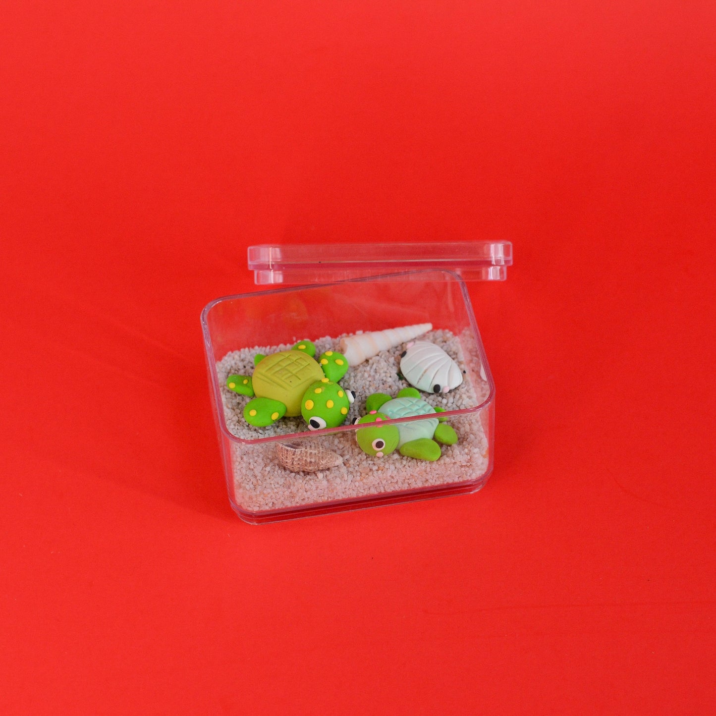 Turtle-Tini Terrarium by Tangerine