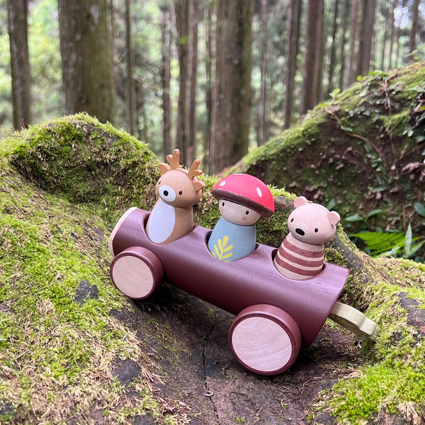 Timber Taxi by Tender Leaf Toys