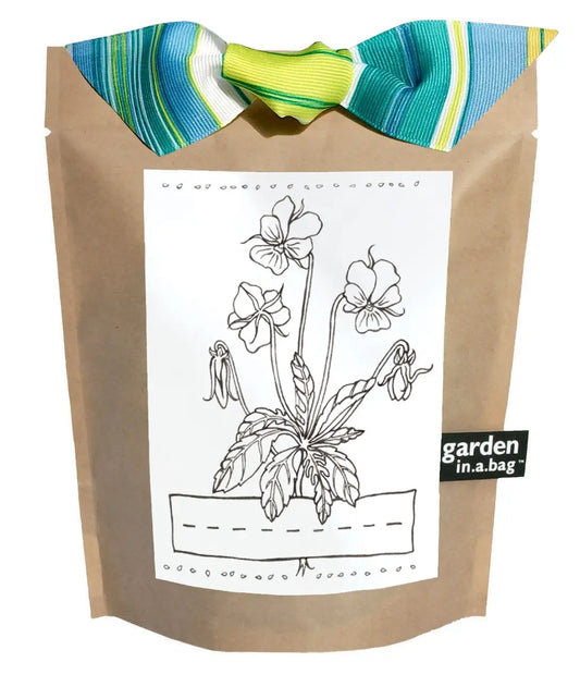 Potting Shed Creations Kids Garden in a Bag - Viola